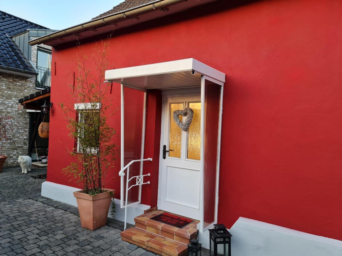Schönste Lage Am Rhein In Unmittelbarer Stadtnähe, Frühstückspension *