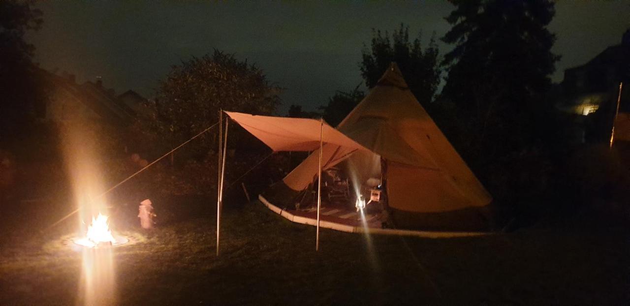Schönste Lage Am Rhein In Unmittelbarer Stadtnähe,