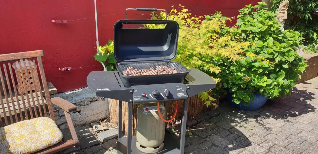 Frühstückspension Schönste Lage Am Rhein In Unmittelbarer Stadtnähe, *