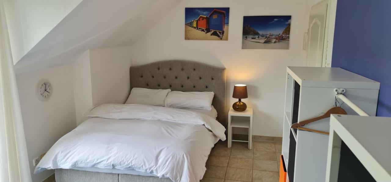 Schönste Lage Am Rhein In Unmittelbarer Stadtnähe,